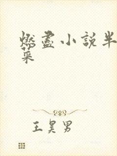 燃尽小说半截白菜