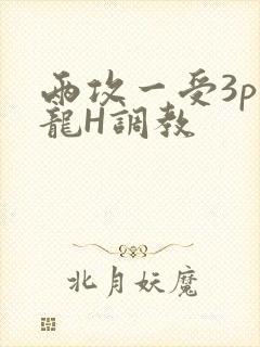 两攻一受3p双龙H调教