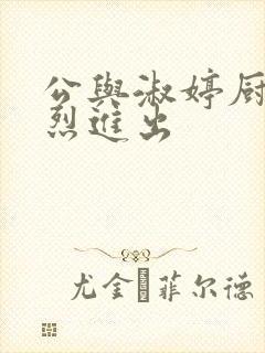 公与淑婷厨房猛烈进出