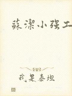 苏洁小强工地情