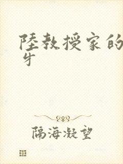 陆教授家的小月牙