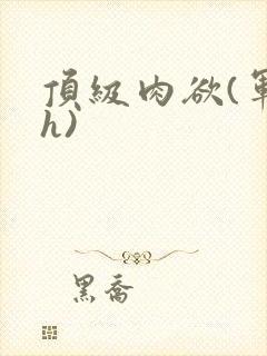 顶级肉欲(军高h)