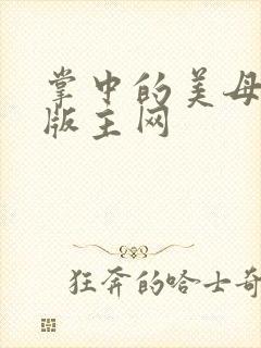 掌中的美母第一版主网封面