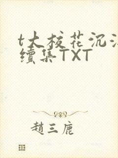 t大校花沉浮录续集TXT