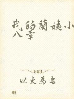 我的兰姨小说第八章封面