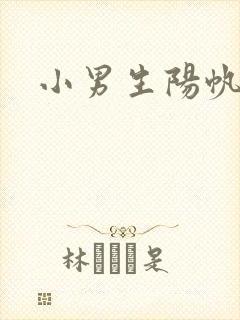 小男生阳帆封面