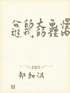 公的大龟慢慢挺进我的体内