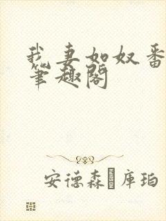 我妻如奴番外篇笔趣阁封面