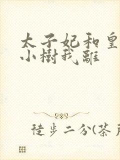 太子妃和皇上在小树我离封面