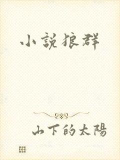 小说狼群