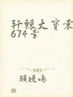 轩辕大宝袁雪妃674章封面