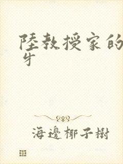 陆教授家的小月牙封面