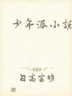 少年派小说