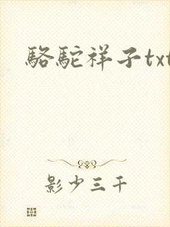 骆驼祥子txt封面