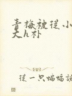 青梅被从小摸到大h补封面