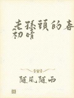 老孙头的春天林初晴封面