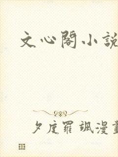 文心阁小说封面