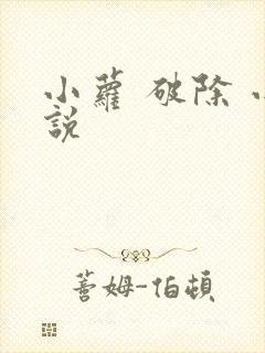 小萝 破除 小说