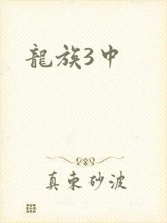 龙族3中