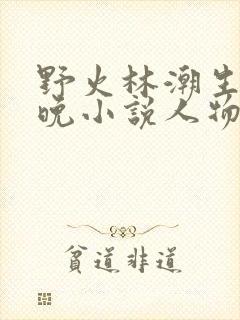 野火林潮生林晚晚小说人物野火