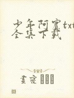 少年阿宾txt全集下载