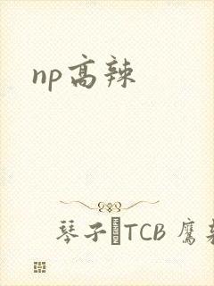 np高辣