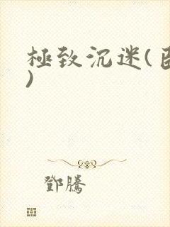 极致沉迷(臣年)封面