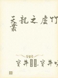 天龙之虚竹戏花丛封面