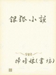 银狐小说封面