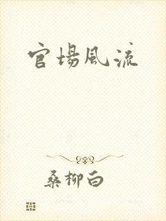 官场风流封面