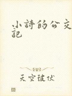 小诗的公交车日记