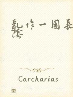 乱作一团长日光阴