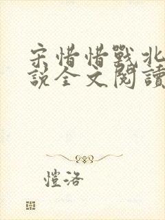 宋惜惜战北望小说全文阅读