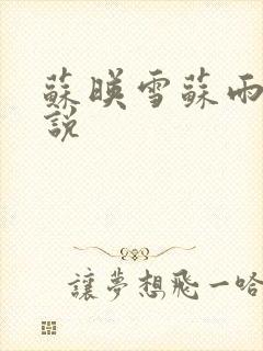 苏映雪苏雨柔小说