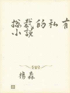 总裁的私有宝贝小说