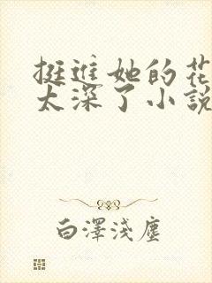 挺进她的花苞啊太深了小说封面