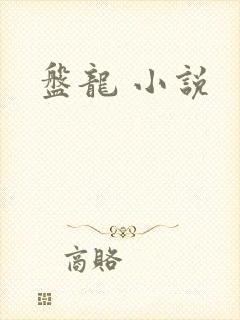 盘龙 小说