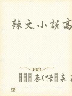 辣文小说高h