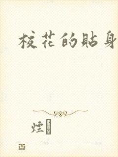 校花的贴身杀手封面