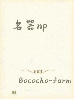名器np封面