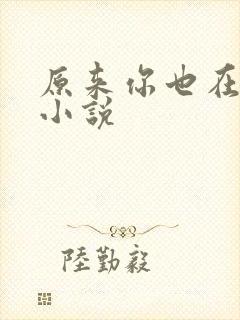 原来你也在这里小说