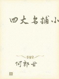 四大名捕小说