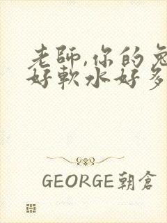 老师,你的兔子好软水好多