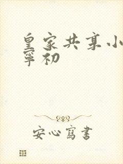 皇家共享小公主宁初