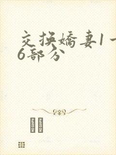 交换娇妻1一36部分
