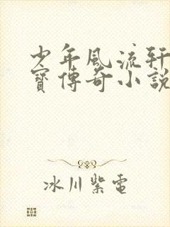 少年风流轩辕大宝传奇小说