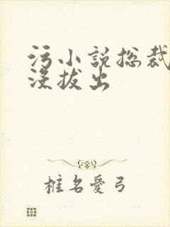 污小说总裁整夜没拔出