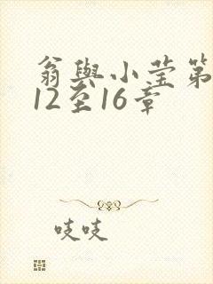 翁与小莹第十部12至16章封面