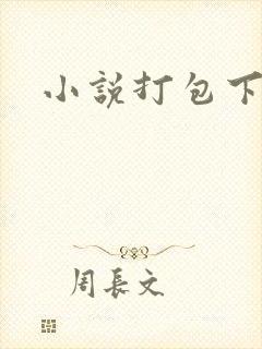 小说打包下载