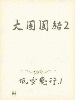 大团圆结2